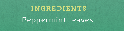 Stash Tea Peppermint Tea (6x20 CT)-3
