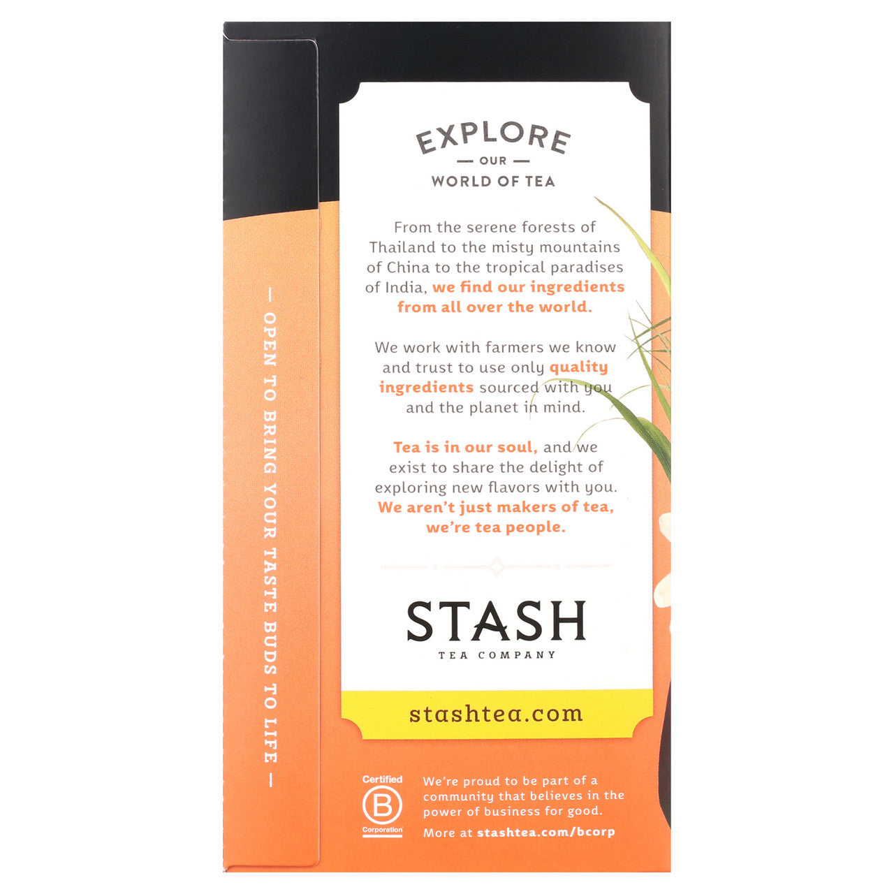 Stash Tea Mango Passionfruit Tea (6x20 CT)-8
