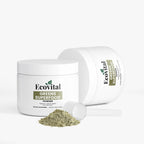 Greens Superfood Powder – Daily Nutrient Boost for Energy, Immunity & Digestion | Net WT. 4.4 oz (126g)