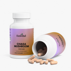 Chaga Mushroom