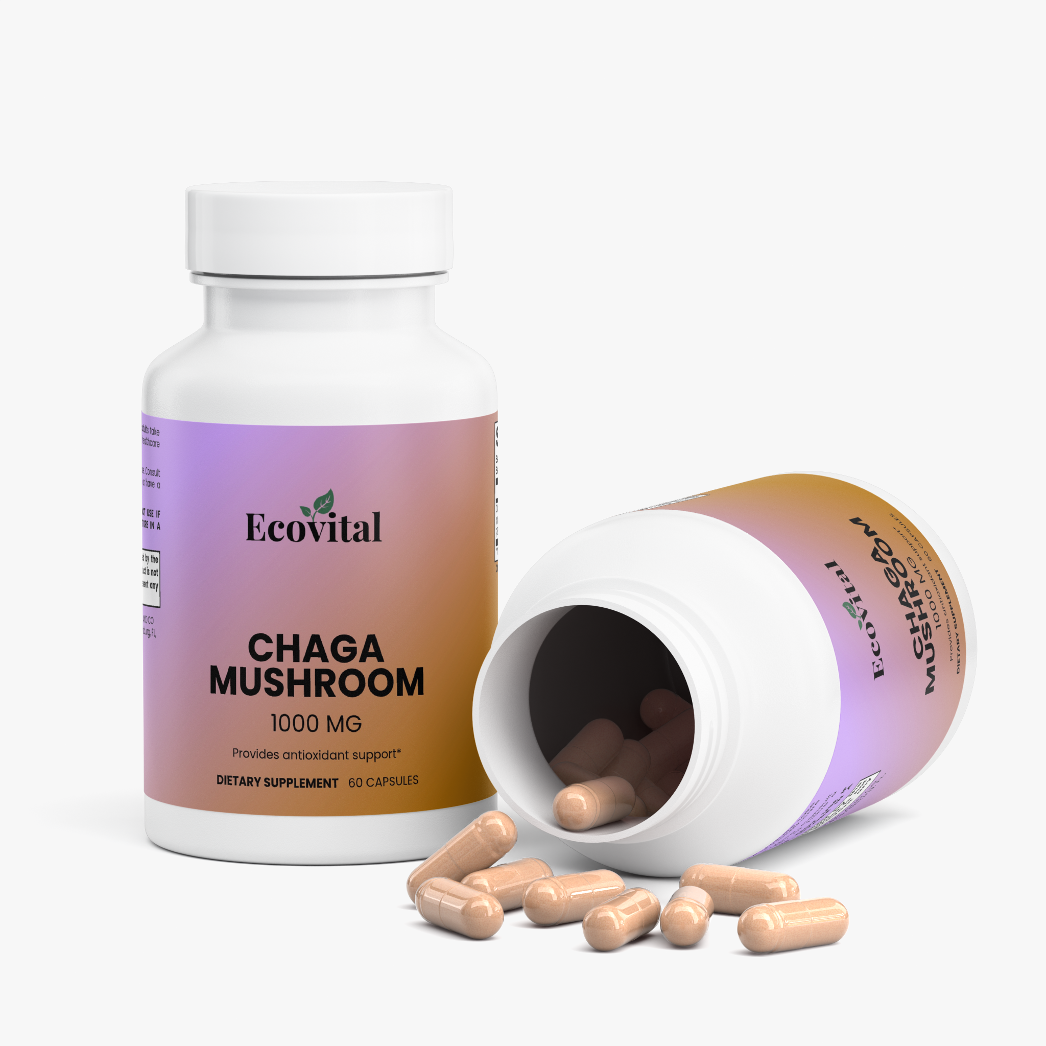 Chaga Mushroom