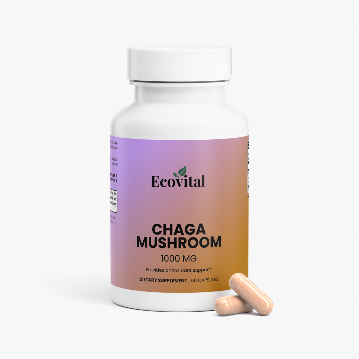 Chaga Mushroom