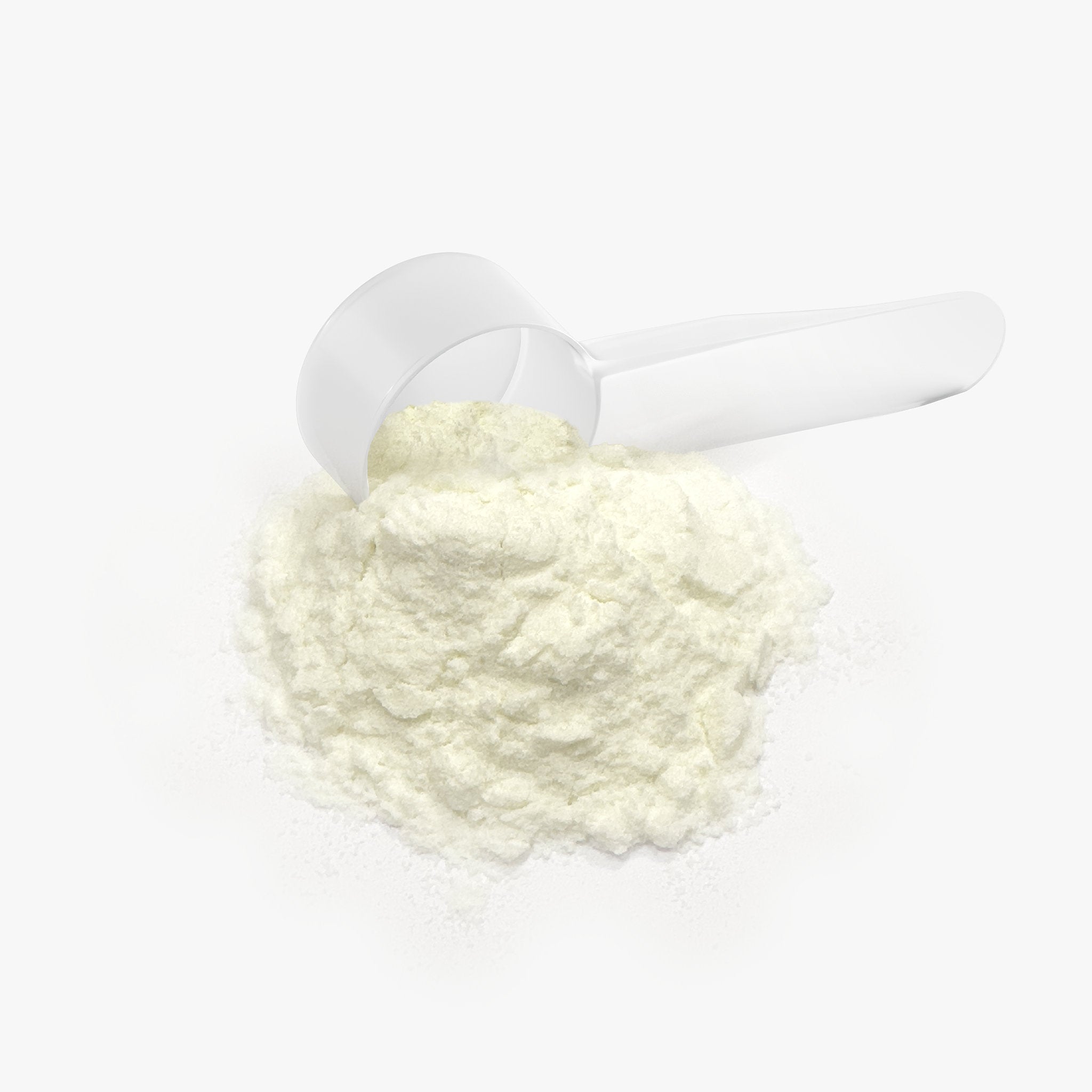 White scoop filled with protein powder on a white background