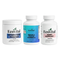 EcoVital Road Warrior Focus & Mobility Driver Kit with Brain & Focus Formula, Hydration Powder and Joint Support