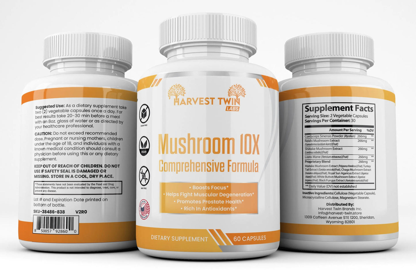 Mushroom 10X-1