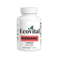 Ecovital Berberine capsules bottle on a white background