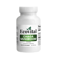 Supplement bottle labeled 'Ecovital Chaga Mushroom' on a white background