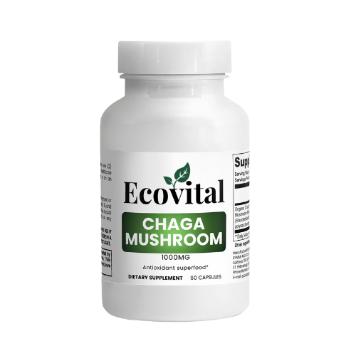 Supplement bottle labeled 'Ecovital Chaga Mushroom' on a white background