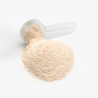 White scoop filled with protein powder on a white background