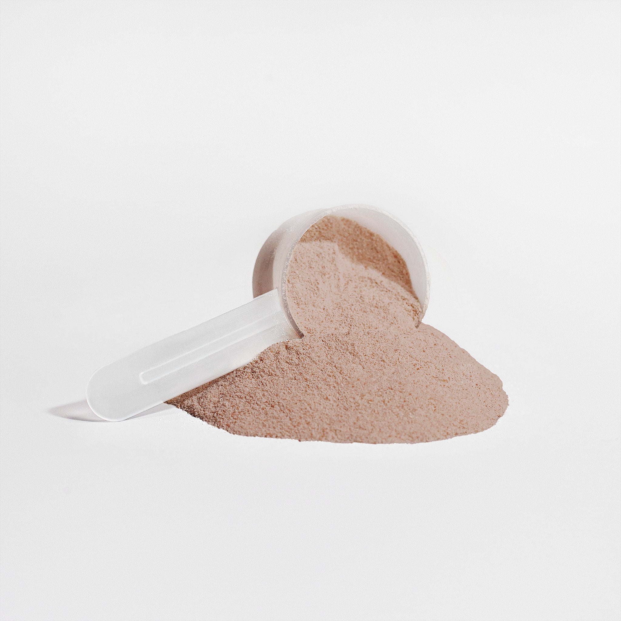 Beige powder in a white scoop on a light gray background