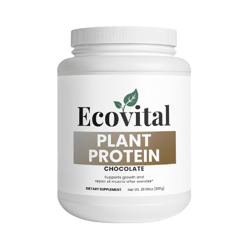 Plant Protein (Chocolate) – Premium Vegan Protein for Muscle Recovery & Growth (29.99 oz / 850 g)