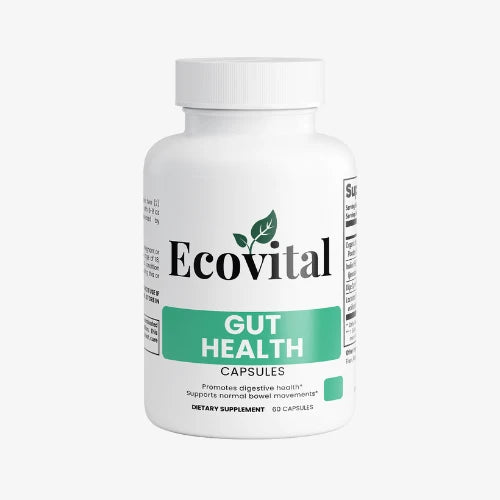 EcoVital Road Essentials Gut Health digestive support with probiotics, prebiotics and digestive enzymes
